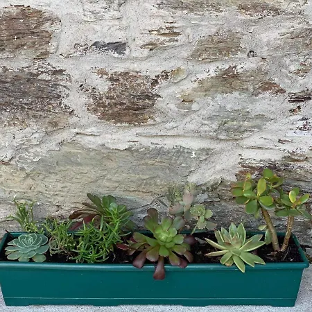 Dom wakacyjny Casa De Seca *