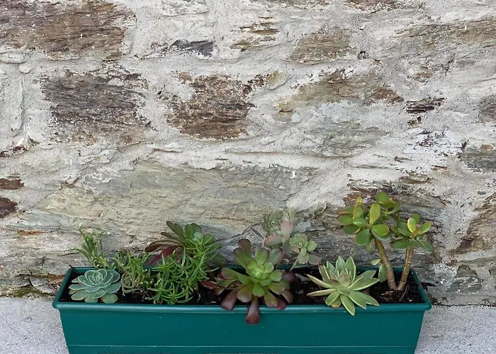 Holiday home Casa De Seca *